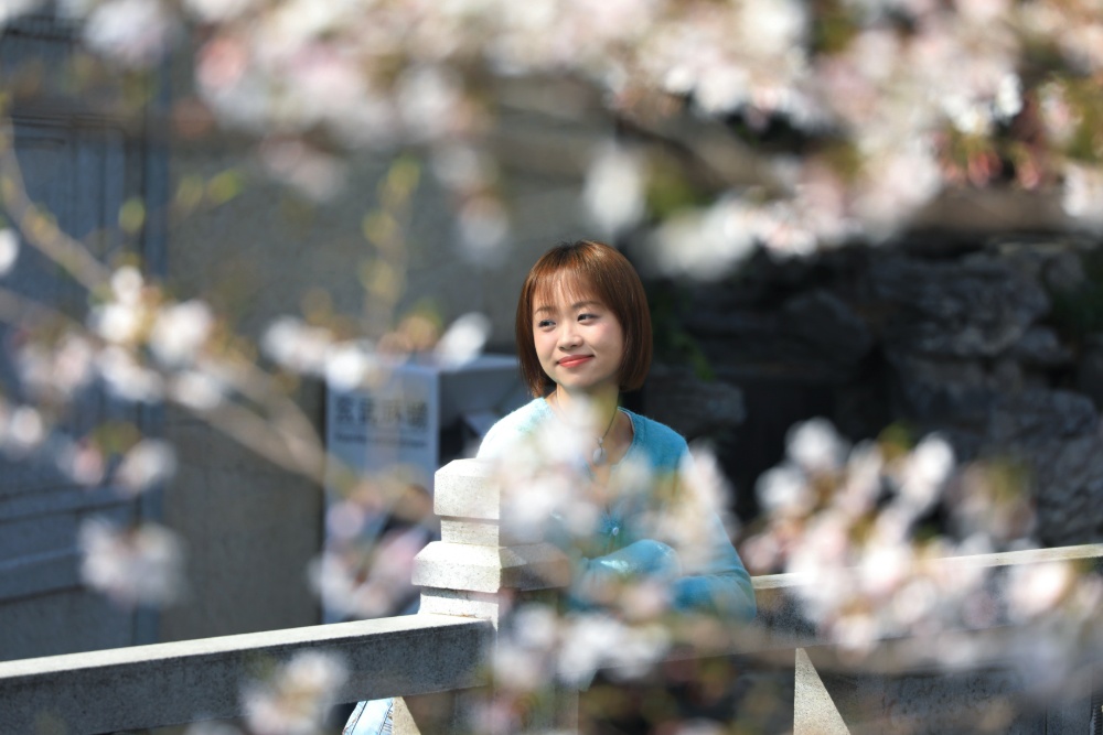 若问南京樱花季“顶流新贵”都有谁，鸡鸣寺旁的珍珠河绝对榜上有名。
这两天，珍珠河又变成了一年一度的“樱花河”。大批赏樱的市民游客在此拍到了“人生照片”，也直观感知了江苏生态修复的生动成效。
珍珠河有着1800多年历史，“珍珠浪涌”曾是古金陵四十八景之一。2018年生态修复工程启动，这条古老河流摇身一变，成为“新晋网红”，焕发时代新风貌。
通讯员 徐福庚 新华日报·交汇点记者 聂伟