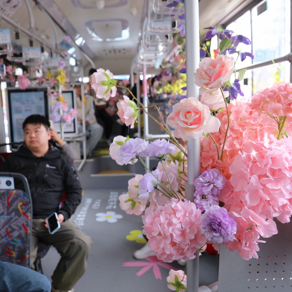 南京孩子春假到哪去，景美人不多？
南京江北新区最近推出了一条免费“樱花巴士”专线，把“春天”搬进了车厢。乘客坐在“春天”里，一路繁花相伴，目的地是凤滁路“樱花大道”。“樱花大道”两旁有逾千株樱花树，盛花期从3月下旬至4月上旬，春日浪漫buff叠满。
新华日报·交汇点记者 聂伟 通讯员 徐福庚