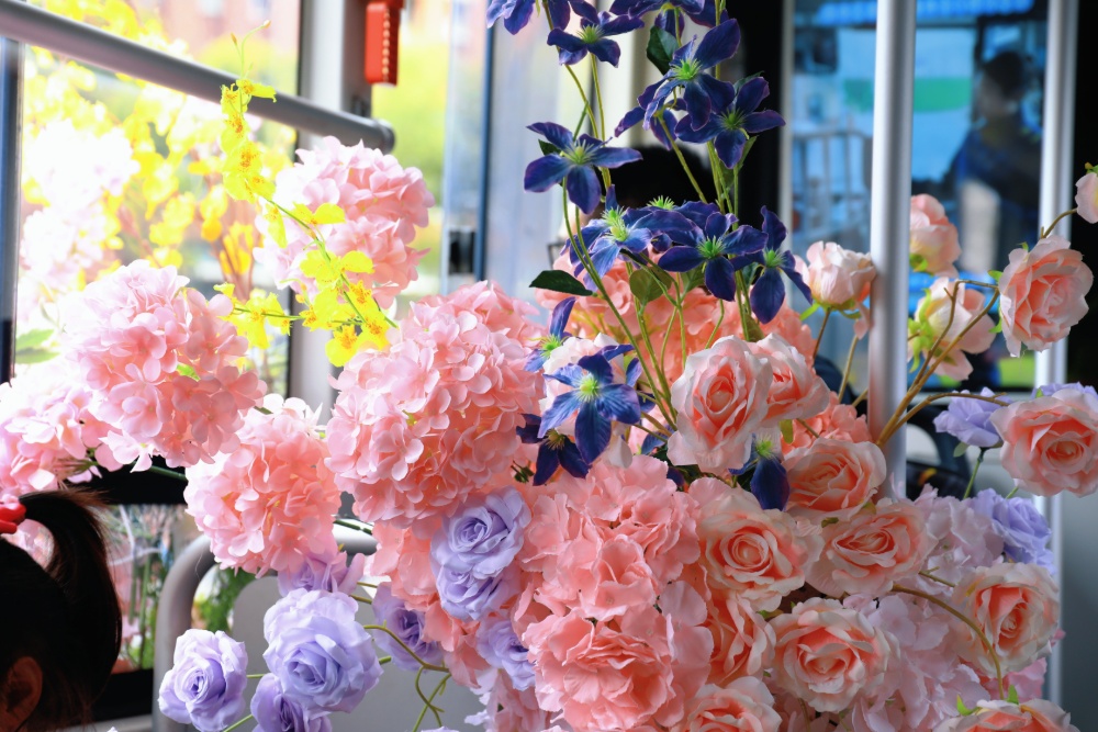 南京孩子春假到哪去，景美人不多？
南京江北新区最近推出了一条免费“樱花巴士”专线，把“春天”搬进了车厢。乘客坐在“春天”里，一路繁花相伴，目的地是凤滁路“樱花大道”。“樱花大道”两旁有逾千株樱花树，盛花期从3月下旬至4月上旬，春日浪漫buff叠满。
新华日报·交汇点记者 聂伟 通讯员 徐福庚