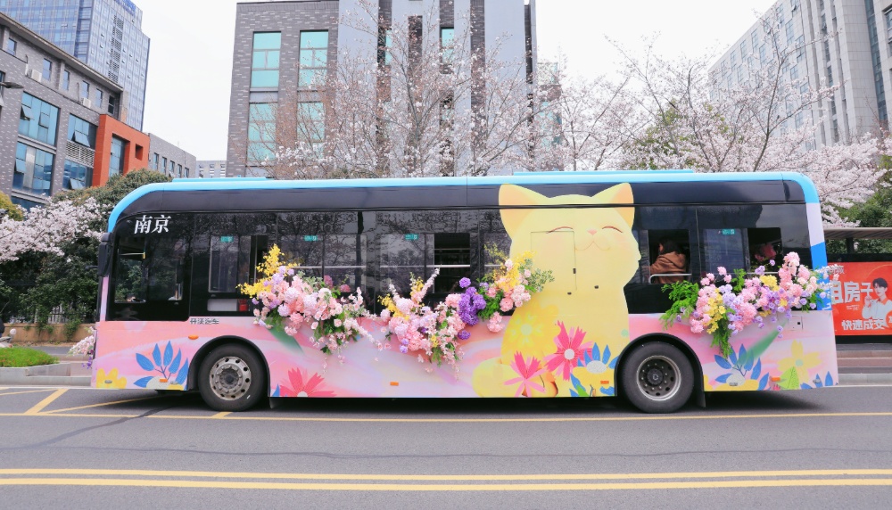 南京孩子春假到哪去，景美人不多？
南京江北新区最近推出了一条免费“樱花巴士”专线，把“春天”搬进了车厢。乘客坐在“春天”里，一路繁花相伴，目的地是凤滁路“樱花大道”。“樱花大道”两旁有逾千株樱花树，盛花期从3月下旬至4月上旬，春日浪漫buff叠满。
新华日报·交汇点记者 聂伟 通讯员 徐福庚