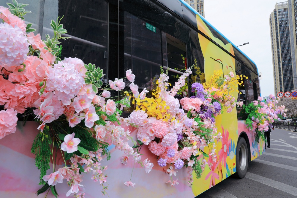 南京孩子春假到哪去，景美人不多？
南京江北新区最近推出了一条免费“樱花巴士”专线，把“春天”搬进了车厢。乘客坐在“春天”里，一路繁花相伴，目的地是凤滁路“樱花大道”。“樱花大道”两旁有逾千株樱花树，盛花期从3月下旬至4月上旬，春日浪漫buff叠满。
新华日报·交汇点记者 聂伟 通讯员 徐福庚