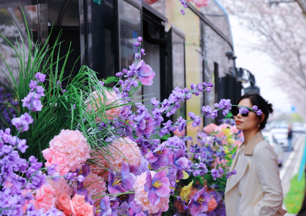 南京孩子春假到哪去，景美人不多？
南京江北新区最近推出了一条免费“樱花巴士”专线，把“春天”搬进了车厢。乘客坐在“春天”里，一路繁花相伴，目的地是凤滁路“樱花大道”。“樱花大道”两旁有逾千株樱花树，盛花期从3月下旬至4月上旬，春日浪漫buff叠满。
新华日报·交汇点记者 聂伟 通讯员 徐福庚
