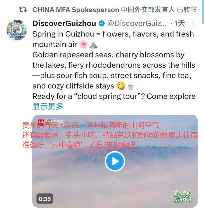 中国游记 | 春色不负万里客!老外爱上“春日中国行”