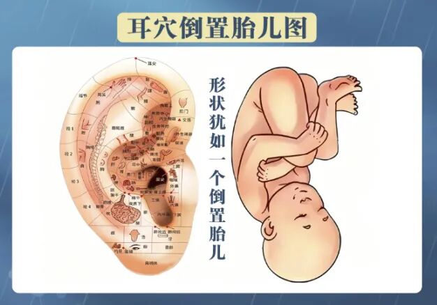 春夏交替养生关键期，中医专家教你三招