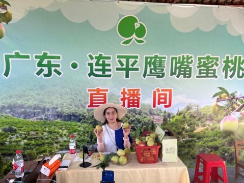 情系助农初心筑梦：AI如何成为“新农具”广州极联视通科技的数字乡村实践
