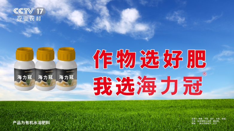 图片8.png