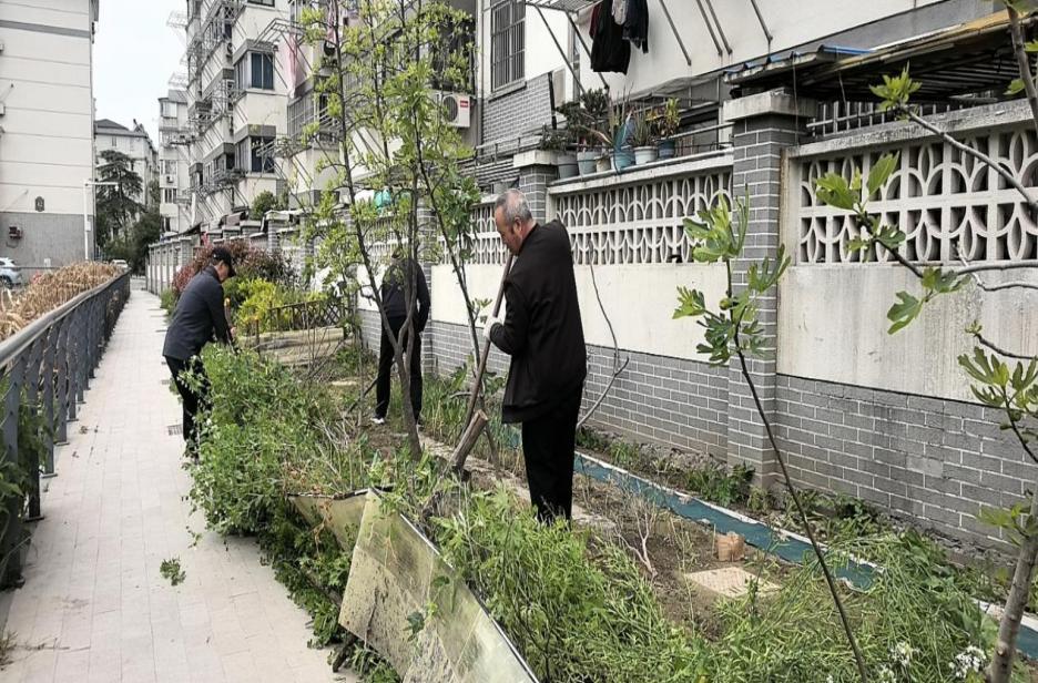 和平桥街道：网格“蓝”引领生态“绿”，善治绘就美好家园
