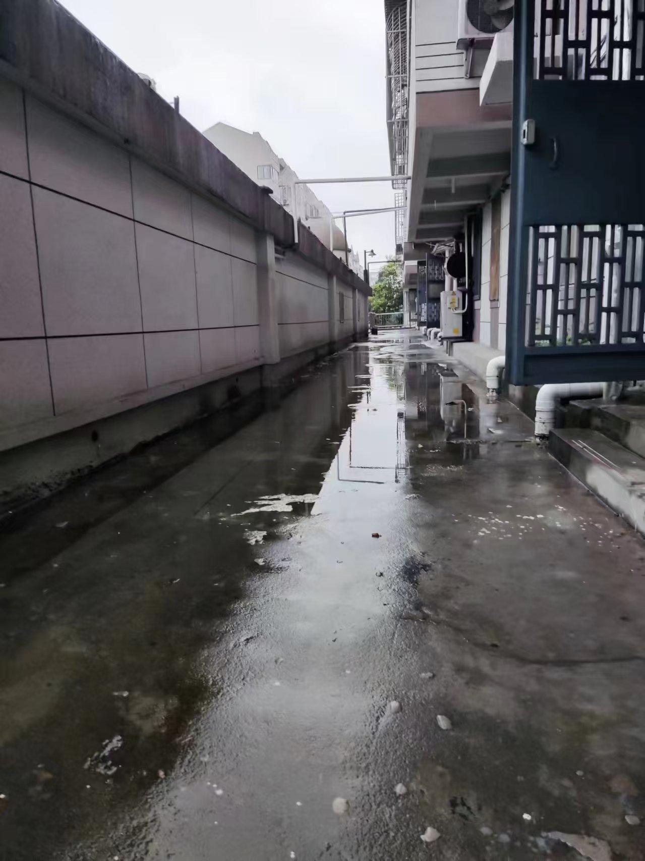 和平桥街道：精准监督纾民困 履职尽责解民忧
