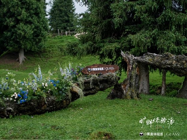 旷野体验派｜在那拉提寻找生命原色