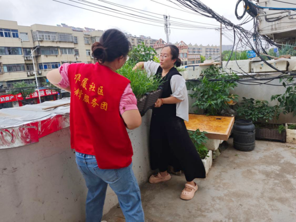 徐州鼓楼牌楼街道：闻“风”而动筑防线 应“险”而行护平安