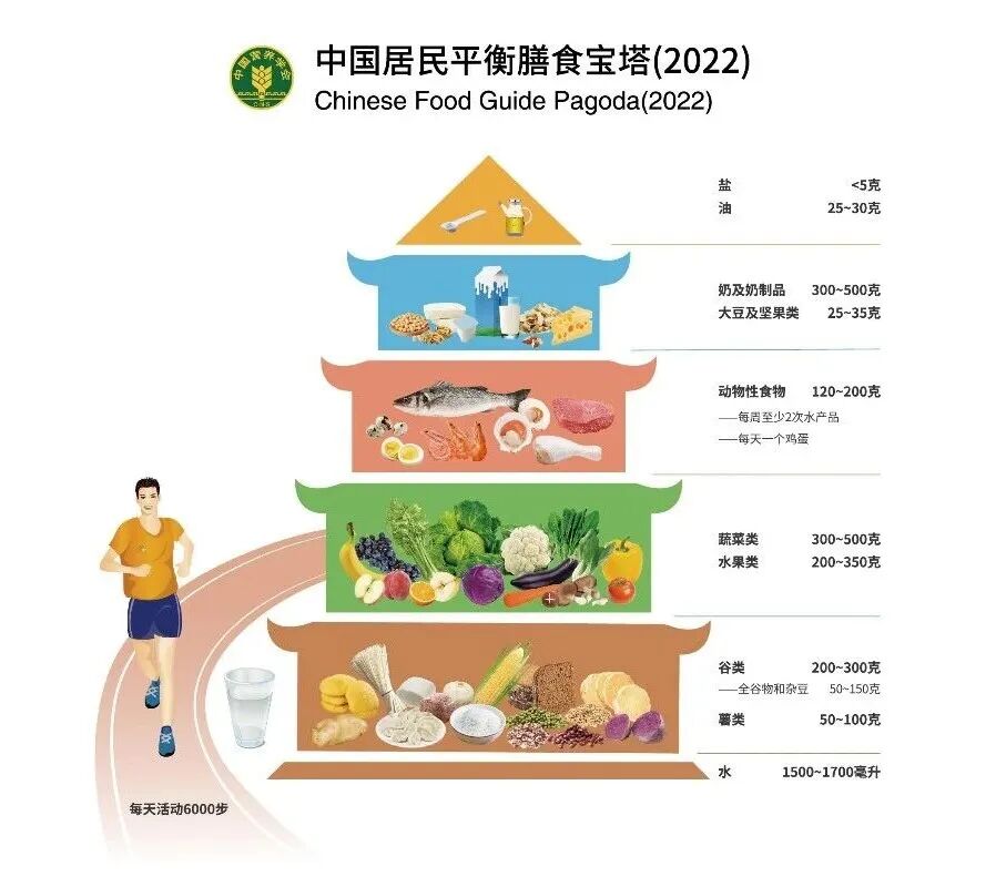 “哈兰德食谱”火了！运动员饮食，我们能不能“抄作业”？