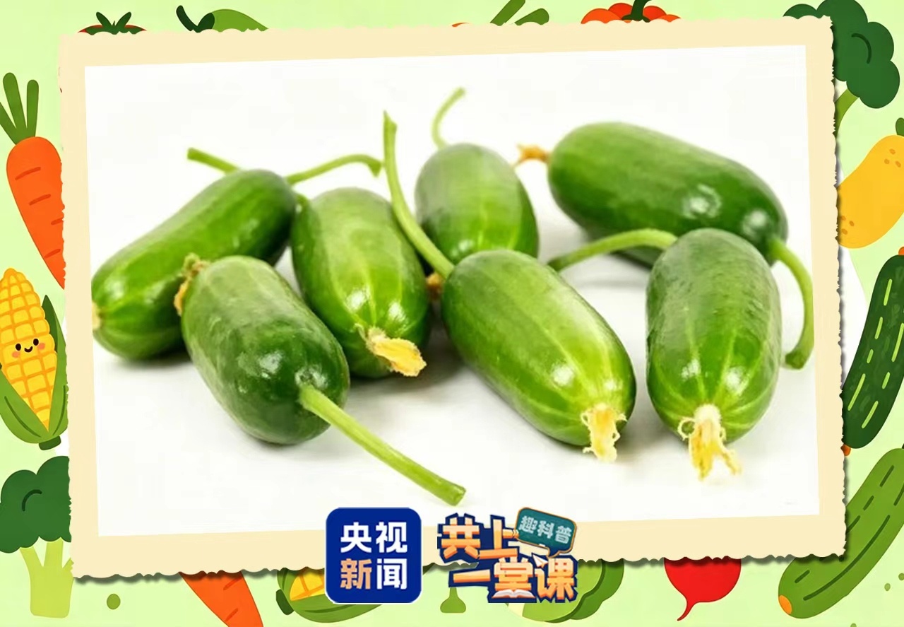 水果型蔬菜身价翻倍 和普通蔬菜有什么区别？