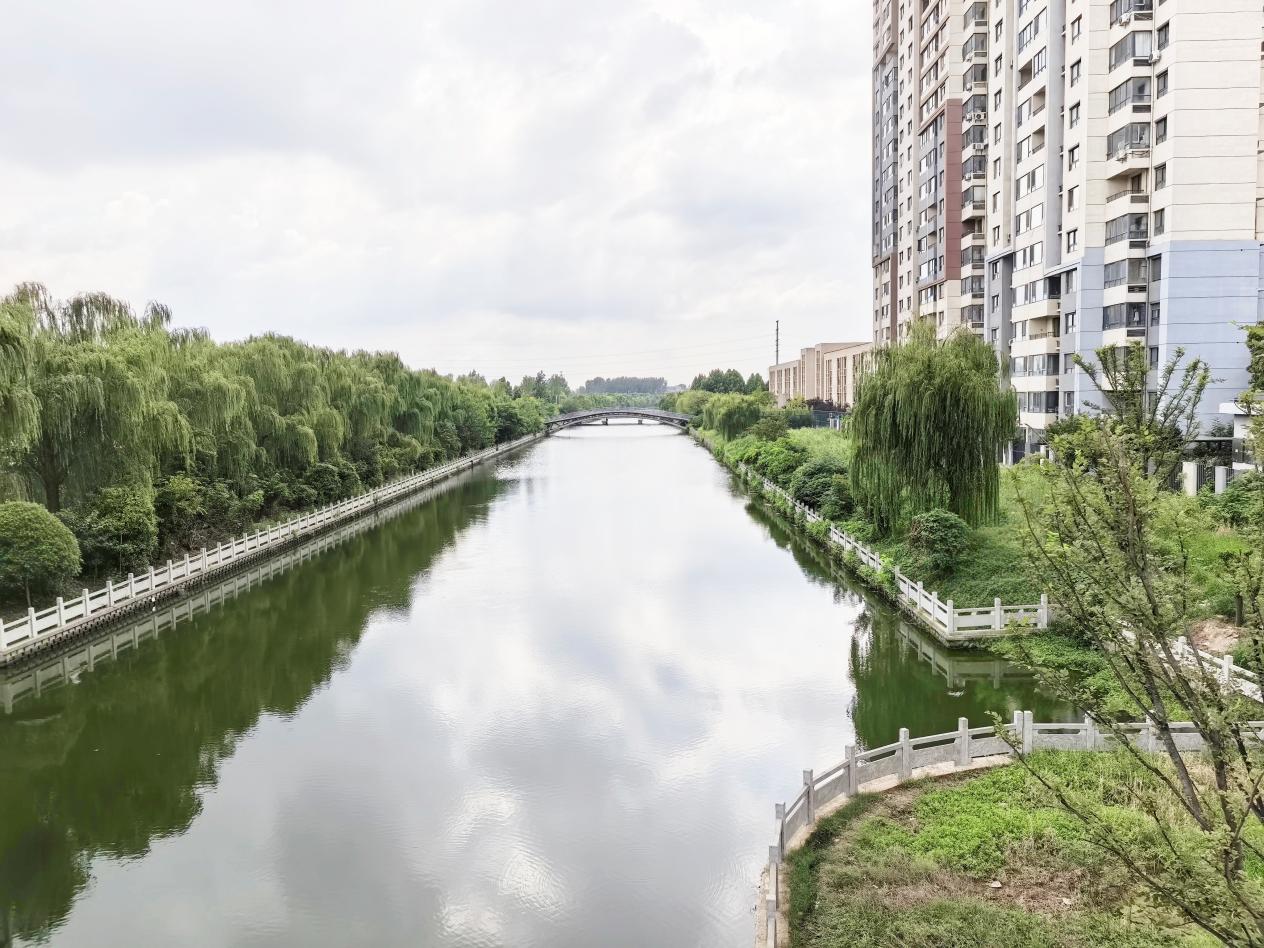 徐州泉山庞庄街道：九里湖畔漾民主 基层治理谱新篇