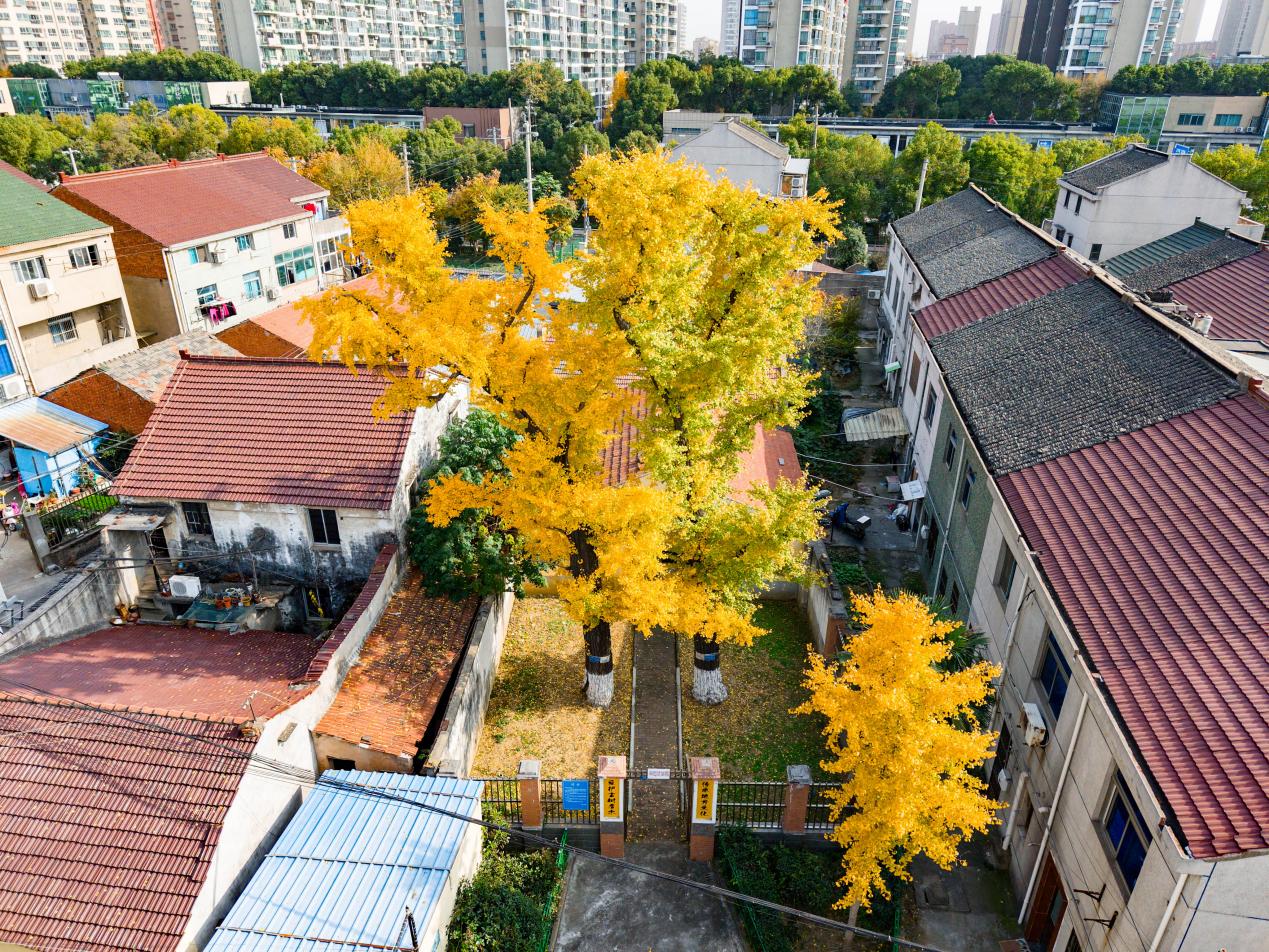 微信图片_20260930141936_74_195